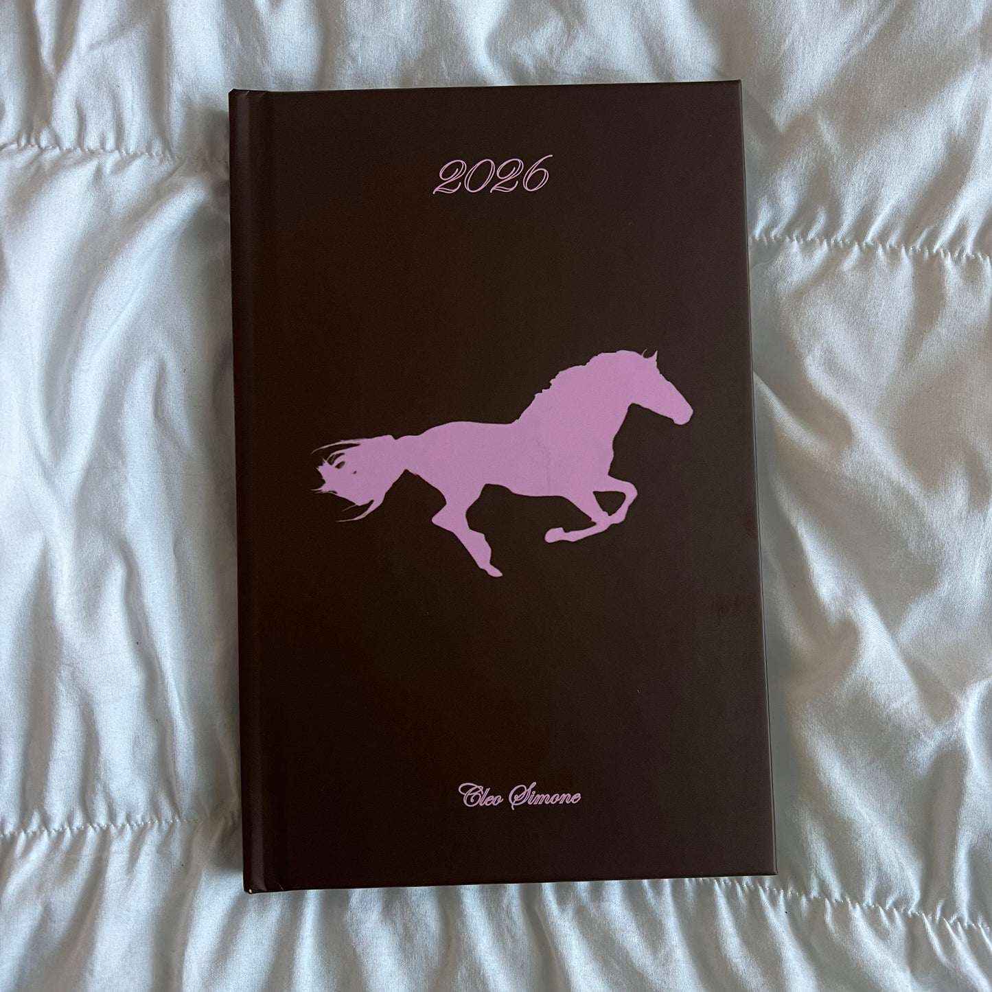 2026 Planner *please read description*