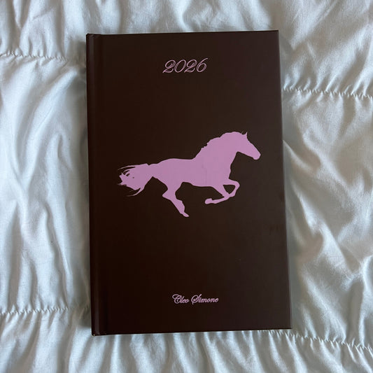 2026 Planner *please read description*