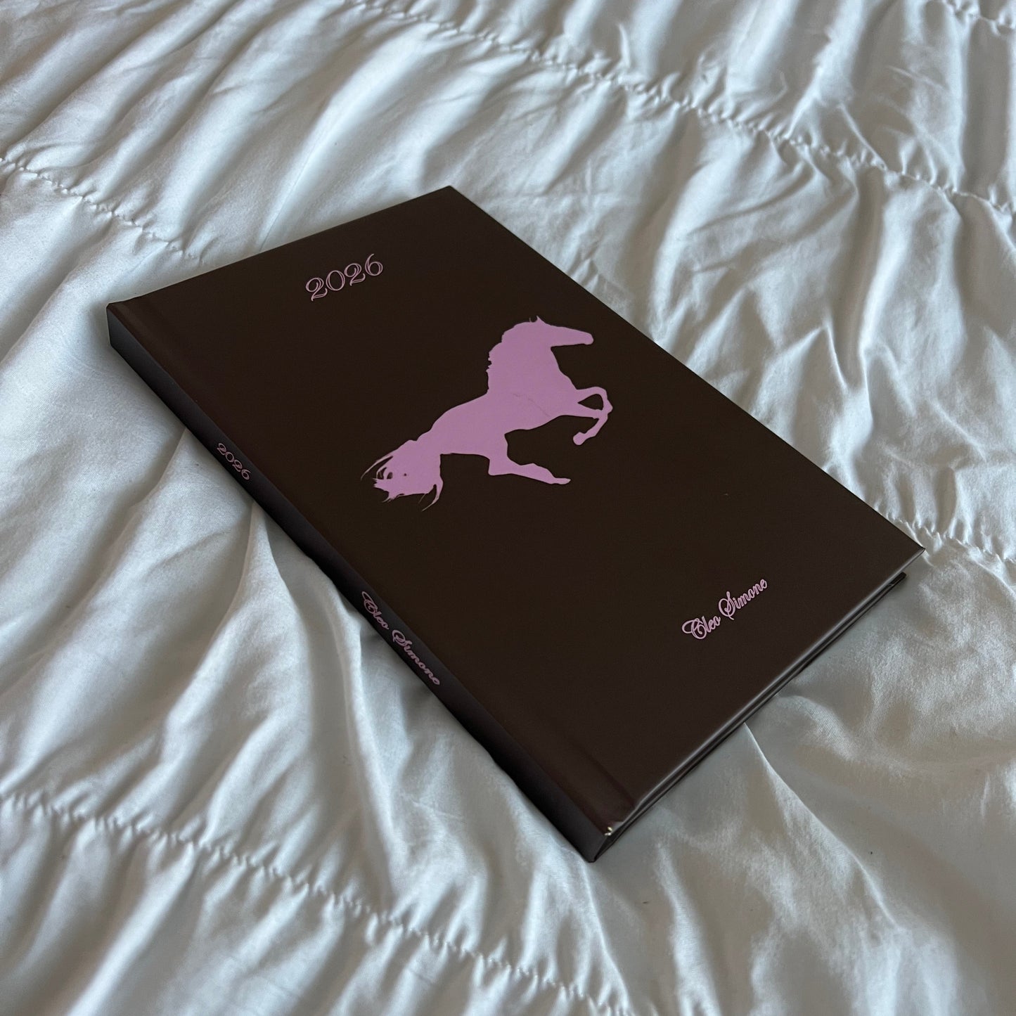 2026 Planner *please read description*