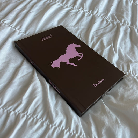 2026 Planner *please read description*